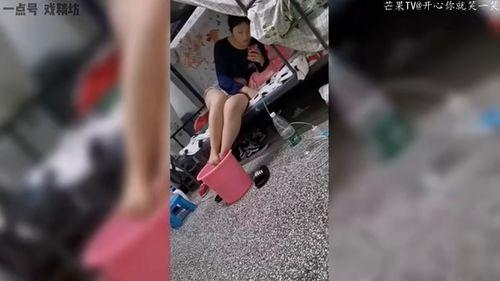 打初音未来尿裤子视频,网络恶搞与道德边界