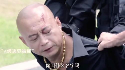 警察抓光头强视频,警察抓捕行动全程曝光